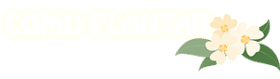 Como Plantar